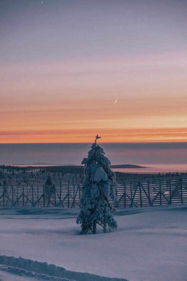 Wilderness Hotel Muotka & Igloos Saariselka Kültér fotó
